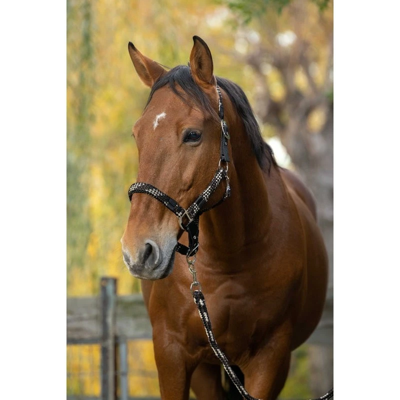 ENSEMBLE LICOL + LONGE EQUITHEME TRESSE