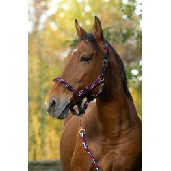 ENSEMBLE LICOL + LONGE EQUITHEME TRESSE