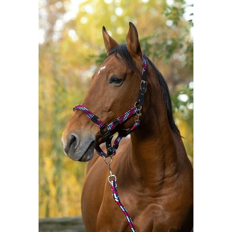 ENSEMBLE LICOL + LONGE EQUITHEME TRESSE