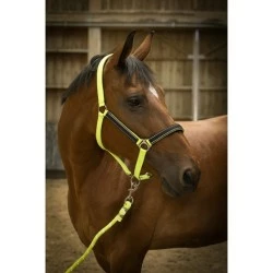 LICOL EQUITHEME HIGH VISIBILITY FULL