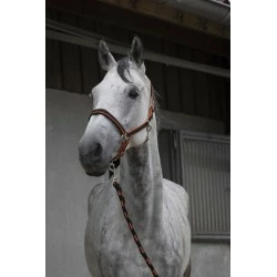 ENSEMBLE LICOL + LONGE EQUITHEME SATINE