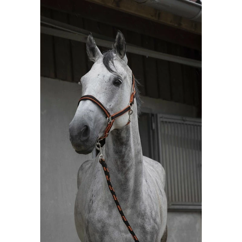 ENSEMBLE LICOL + LONGE EQUITHEME SATINE