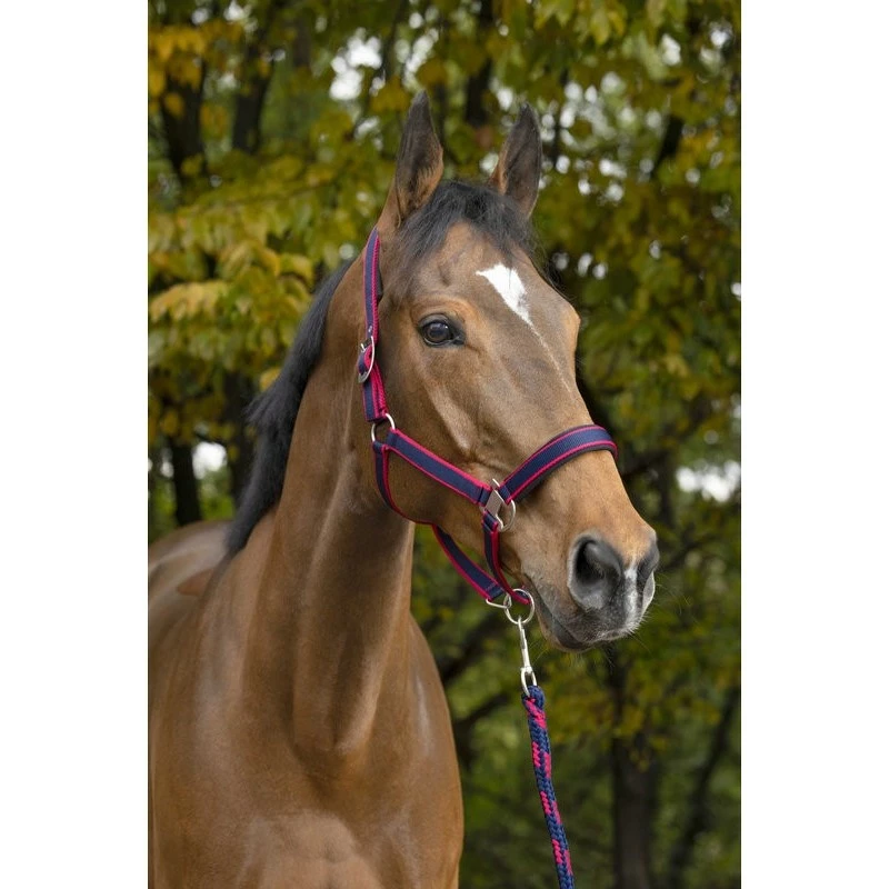 ENSEMBLE LICOL + LONGE EQUITHEME SATINE