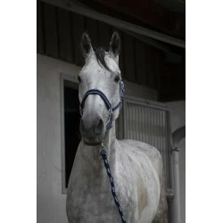 ENSEMBLE LICOL + LONGE EQUITHEME SATINE