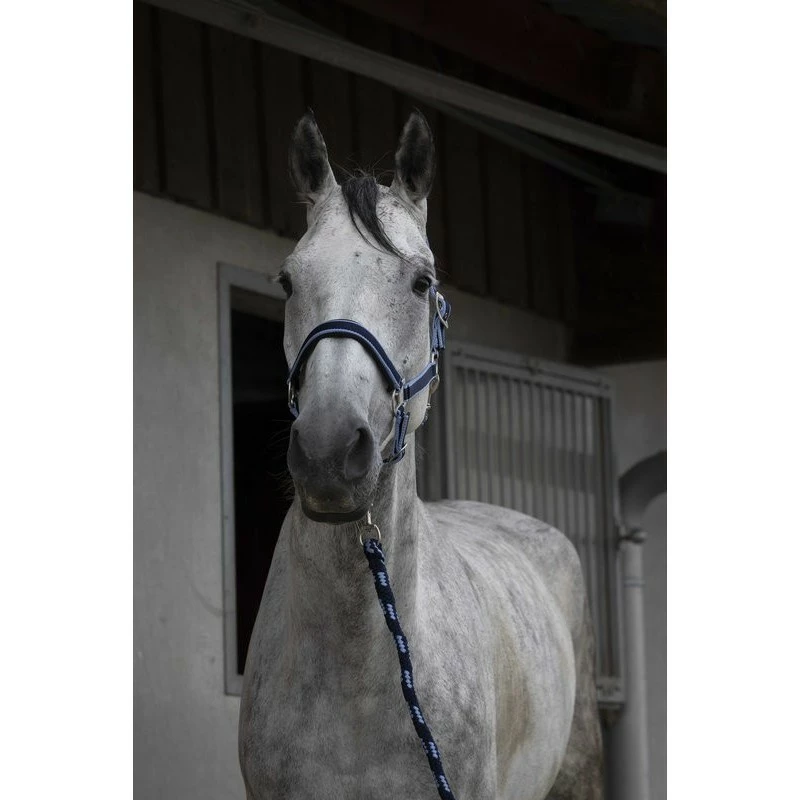 ENSEMBLE LICOL + LONGE EQUITHEME SATINE