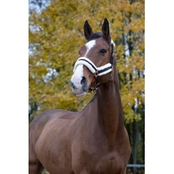 LICOL NORTON CONFORT