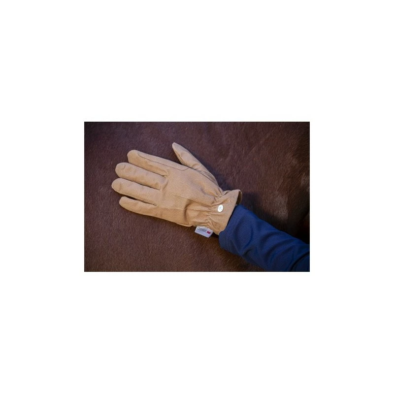 GANTS DE TRAVAIL CUIR EQUITHEME