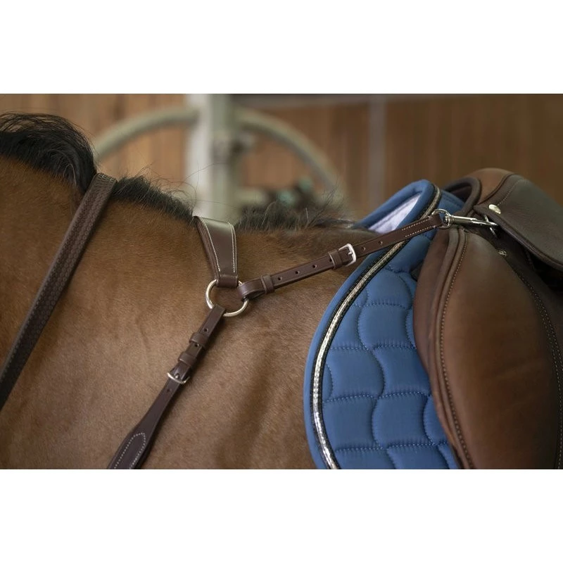 COLLIER DE CHASSE NORTON PRO CONFORT
