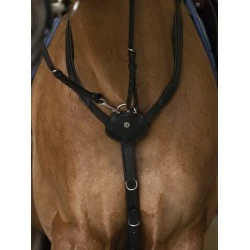 COLLIER DE CHASSE NORTON PRO CONFORT